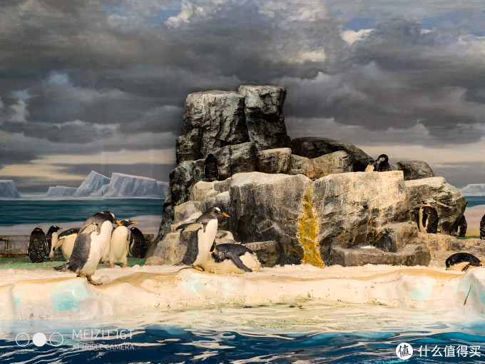 买口罩攻略+名古屋水族馆/乐高乐园游玩