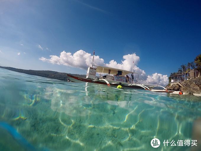 在菲律宾宿务如何正确的跳岛玩海，你选择看鲸鲨还是沙丁鱼风暴