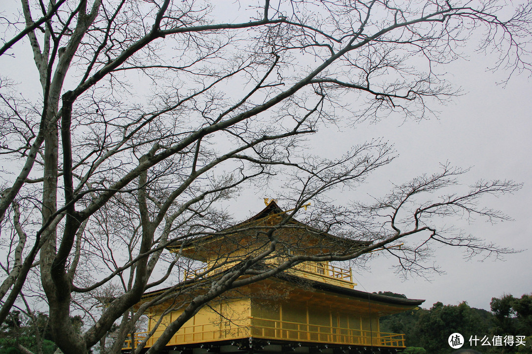 金阁寺 | 京都