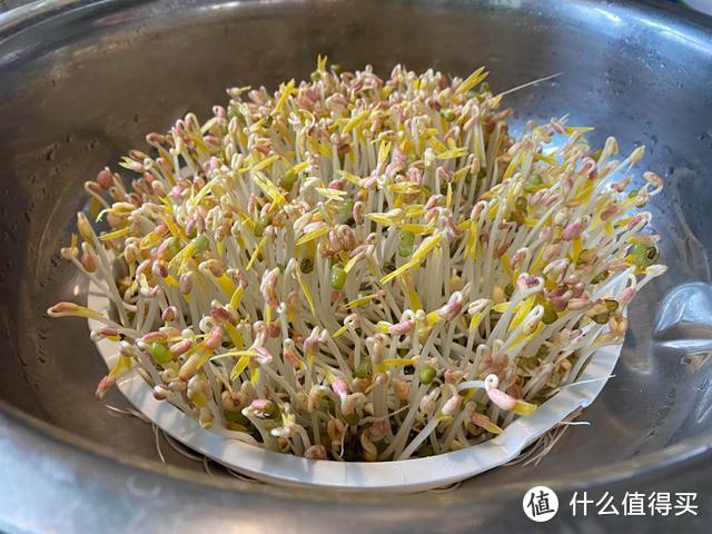 宅家自己种菜吃，这个小电器帮你忙