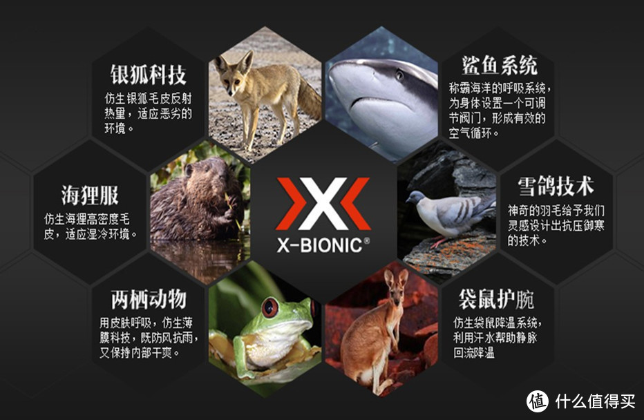 X-Bionic真的那么牛逼吗？看完你就知道了 