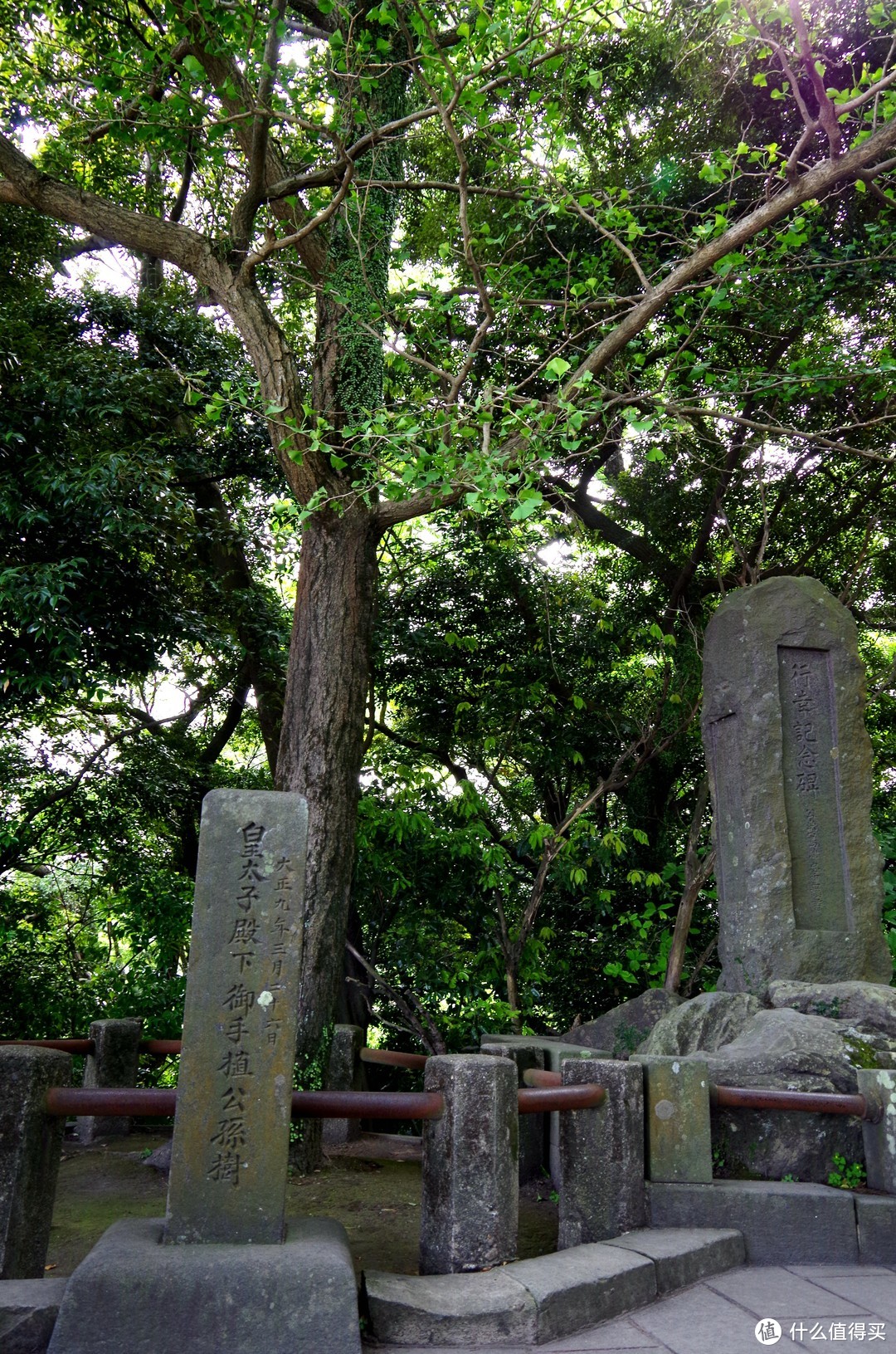 鹿儿岛，惊喜比风景更能让人记住