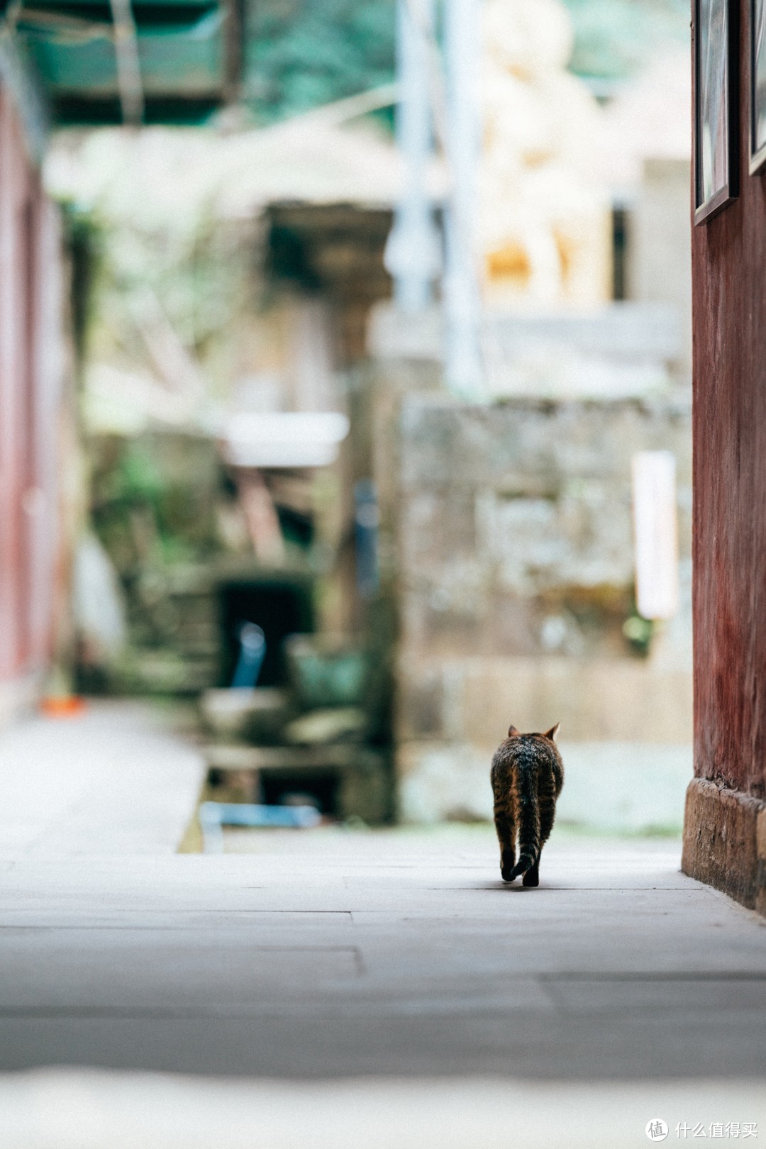 佛荫寺、猫和时间符号~隐藏建文帝秘密的千年寺庙