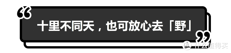 真正の勇士，就敢于在银龙脊背上奔跑！