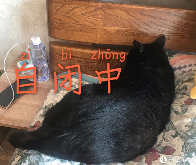 看到的、了解的、学习的、总结的,关于疫情防护的6个问题,帮你安心生活