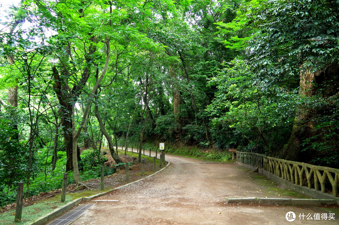 鹿儿岛，惊喜比风景更能让人记住