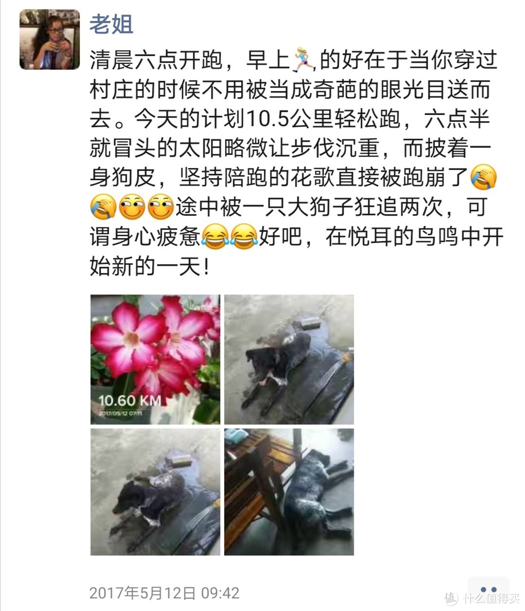 跑者门下走狗，想念花哥儿