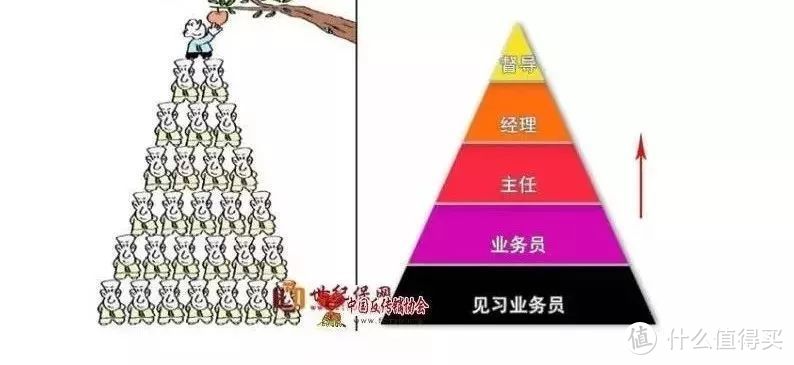 当保险变成害人的毒药，请远离它