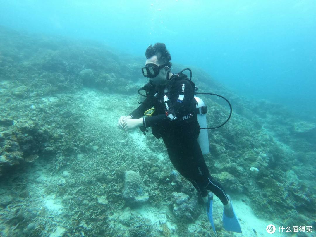 相比汀巴汀巴这里的珊瑚白化严重，水下色彩相对单一