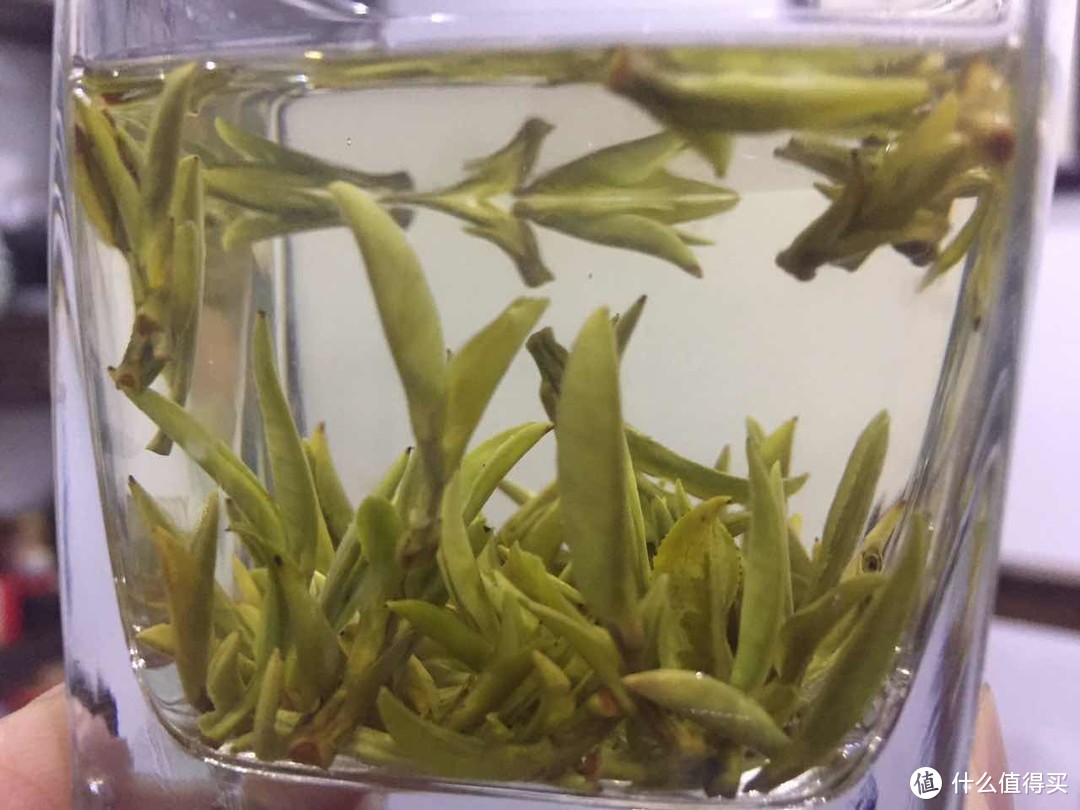 浅说黄山毛峰 及选茶小tips