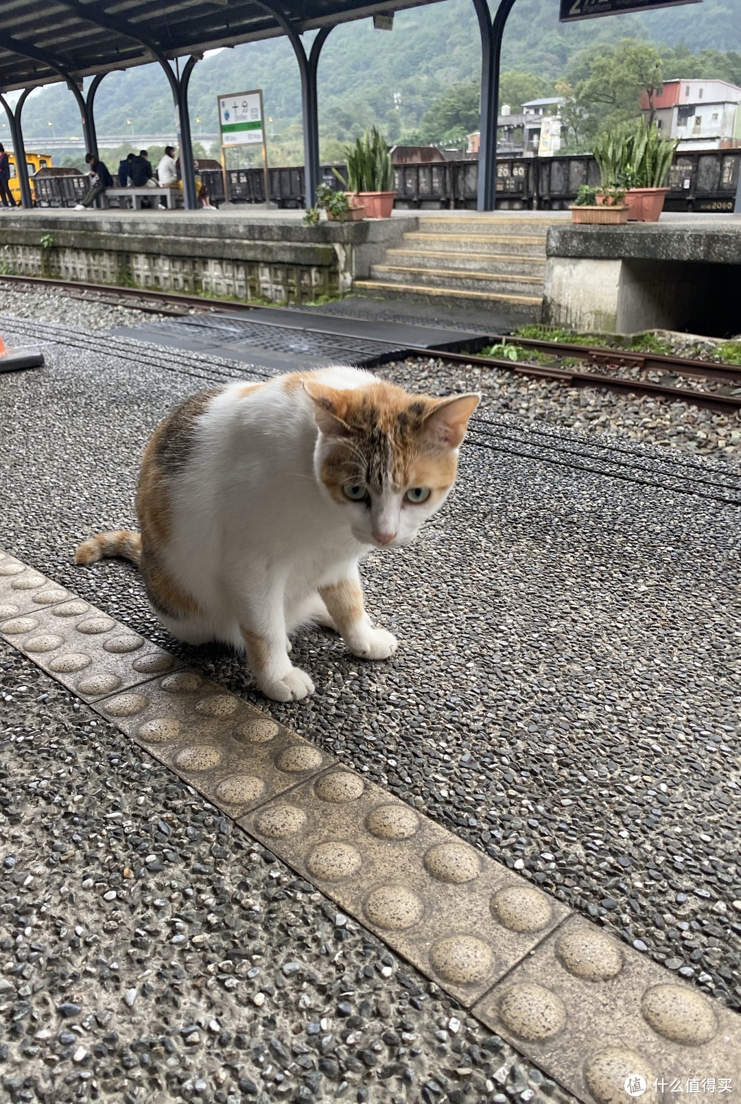 台湾再见，不知何日再见（七）