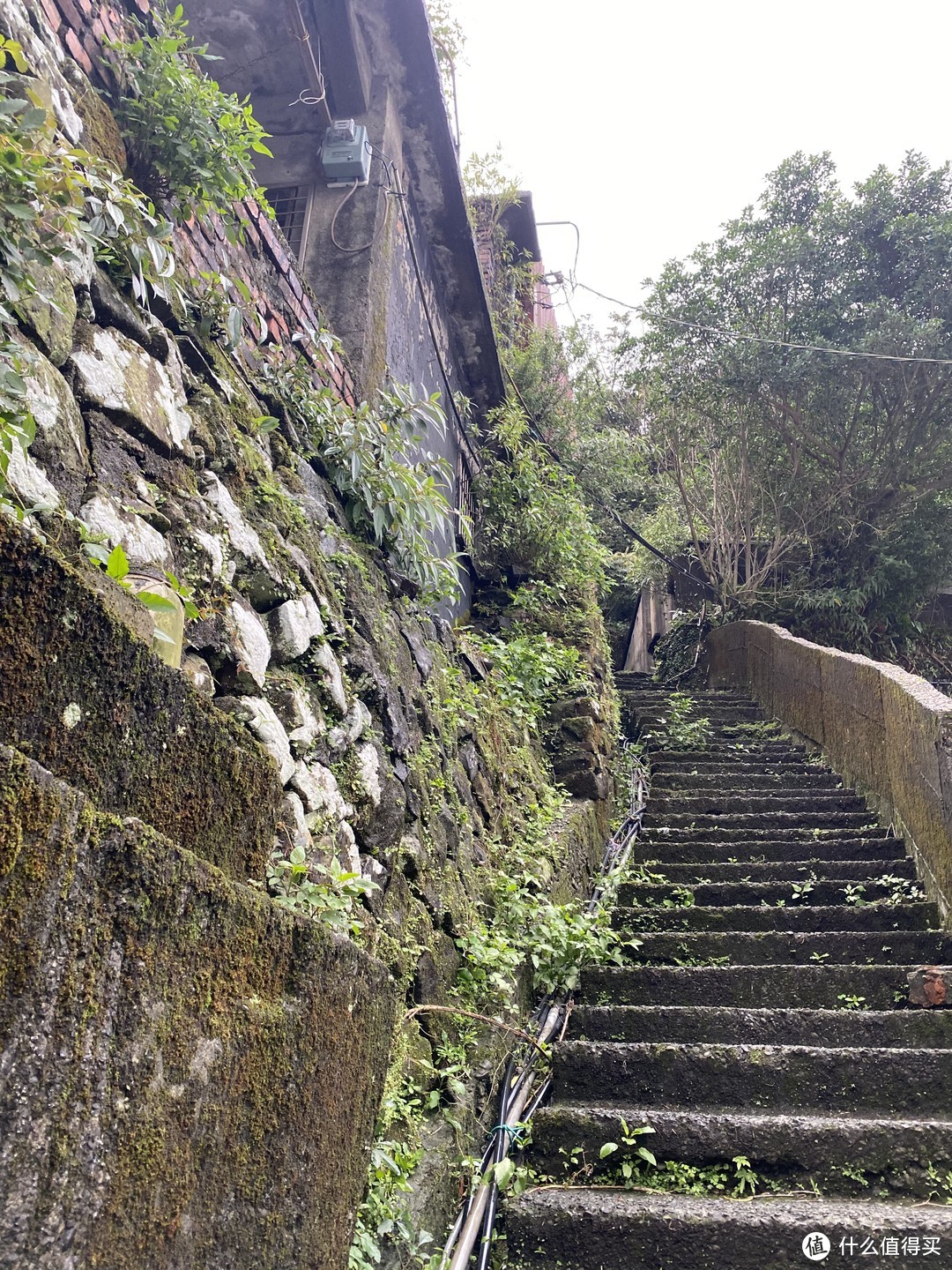 台湾再见，不知何日再见（七）