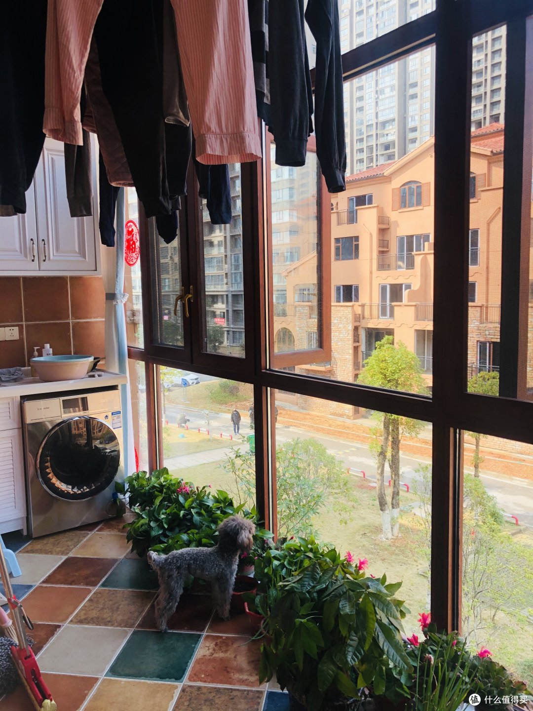 略杂乱的生活阳台,这里不得不说卫生真他妈难搞!