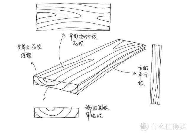 ▲图源：手绘