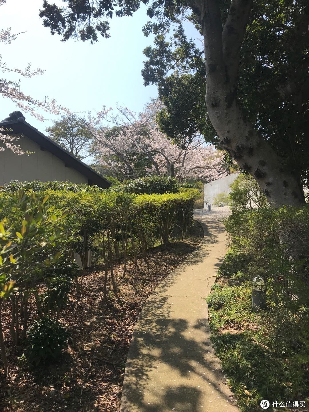 日本关西-安藤忠雄，本福寺水御堂、大阪天空教堂、GALLERIA[akka]