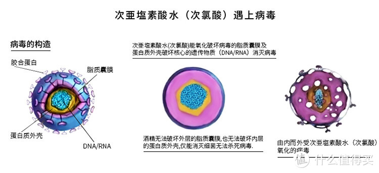 防范新型病毒期间，普通人购买消毒液要注意哪些事项？