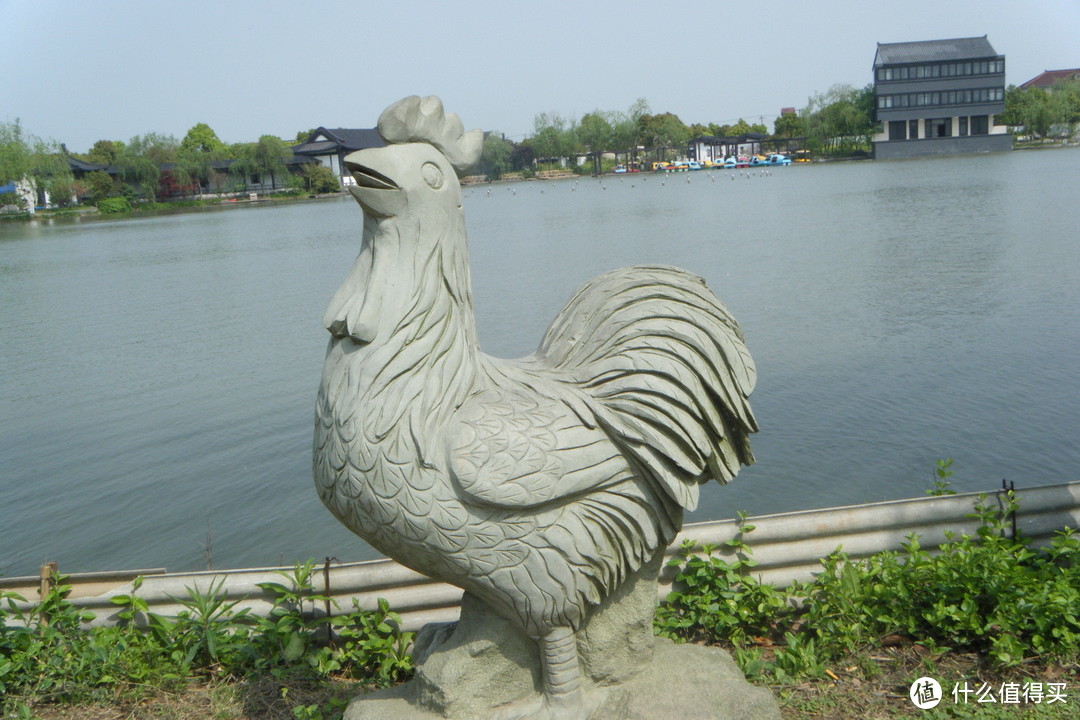浦东南汇桃花村/桃园，看黑白小猪游泳和跑步比赛，还有各种家禽，游湖游船