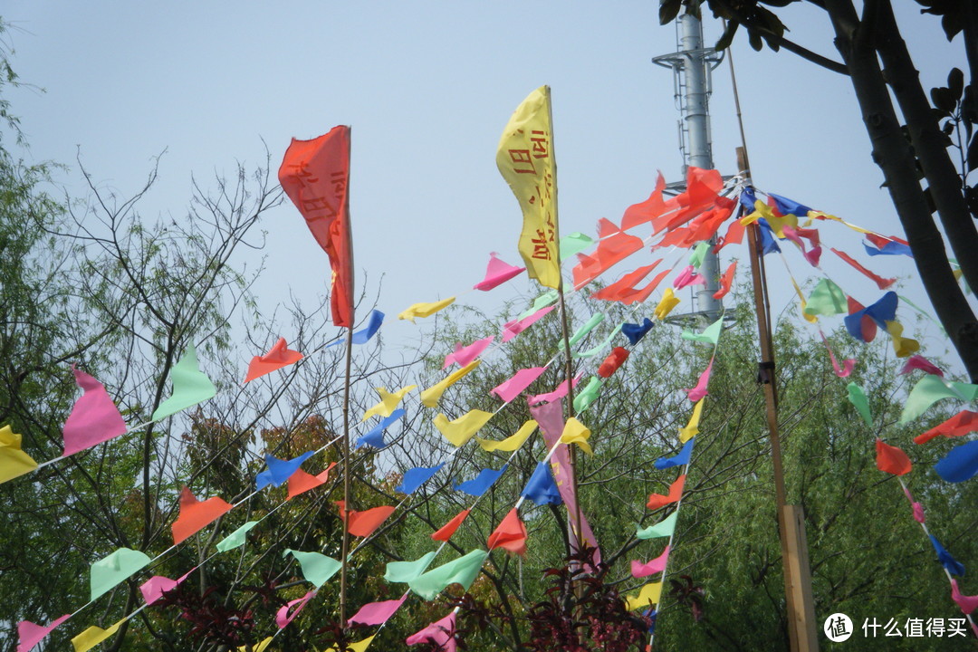 浦东南汇桃花村/桃园，看黑白小猪游泳和跑步比赛，还有各种家禽，游湖游船