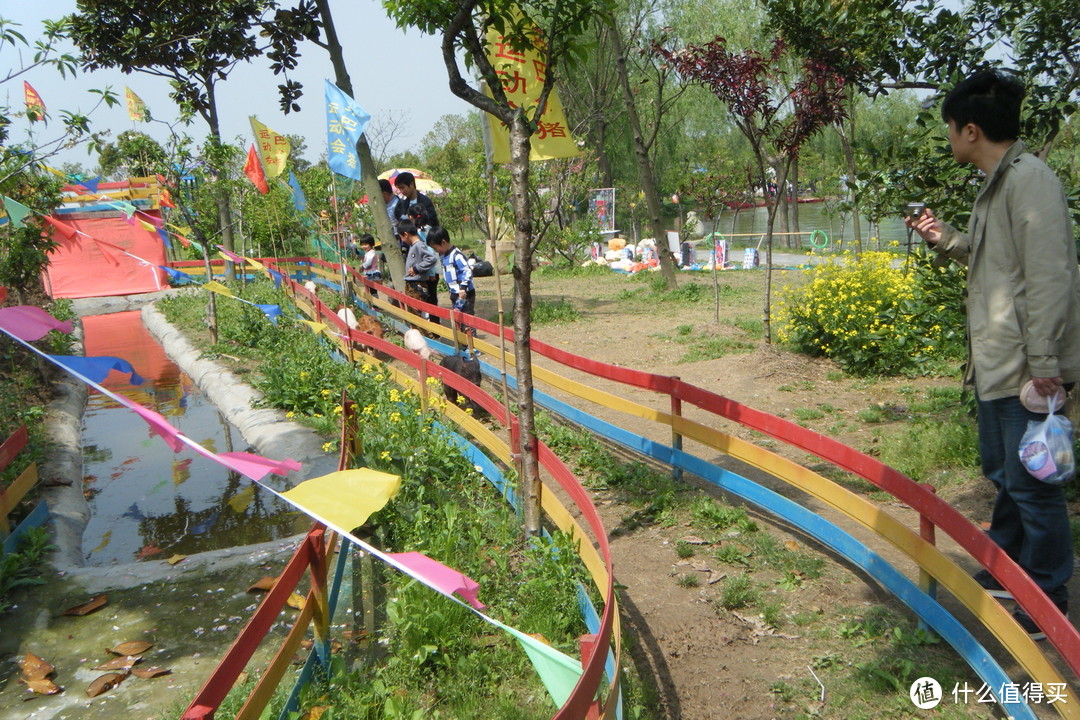 浦东南汇桃花村/桃园，看黑白小猪游泳和跑步比赛，还有各种家禽，游湖游船