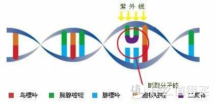 常见车载新风，空气净化，技术介绍