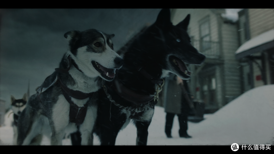2020年1月4K UHD电影精选—雪橇犬穿越暴风雪、福特法拉利巅峰对决