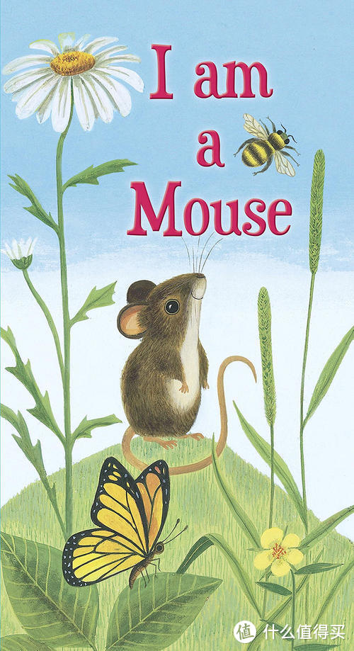 《I am a Mouse》