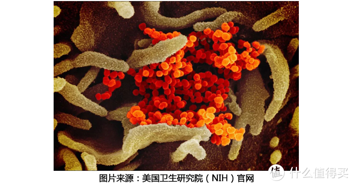 深度对比测评：疫情当前，空气净化器选米家MAX还是352 Y100