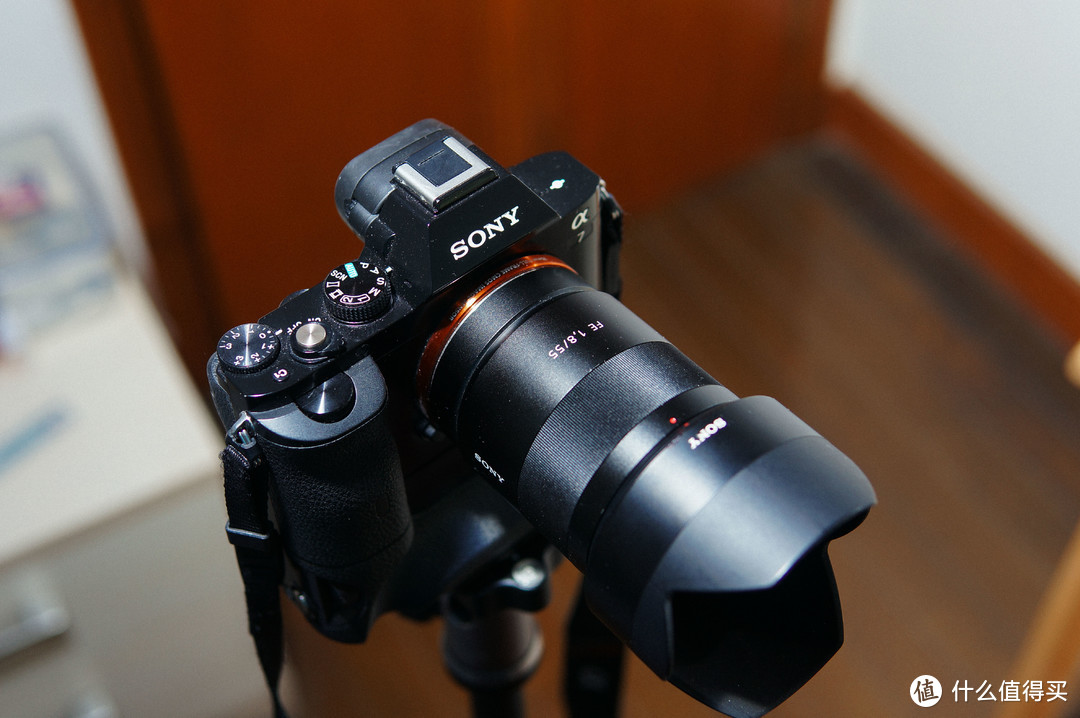 索尼fe55 1.8za打鸟记&nbsp; 拍立得打鸟在文末哦 无码!高清!多图!