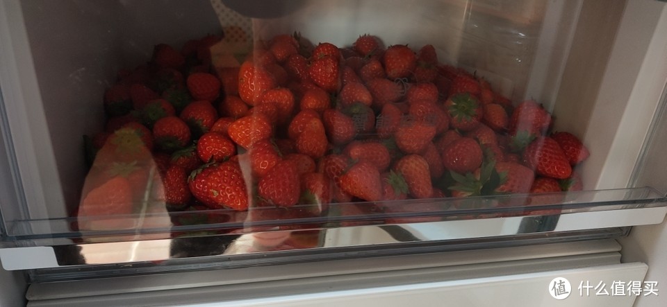 九斤草莓
