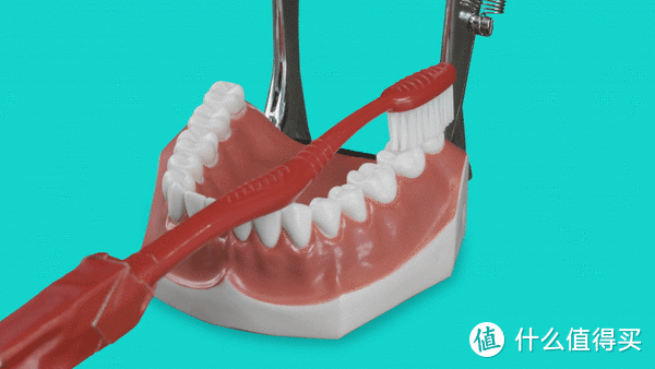 每天都在刷牙的你真的会刷牙吗？牙医教你正确的刷牙方法