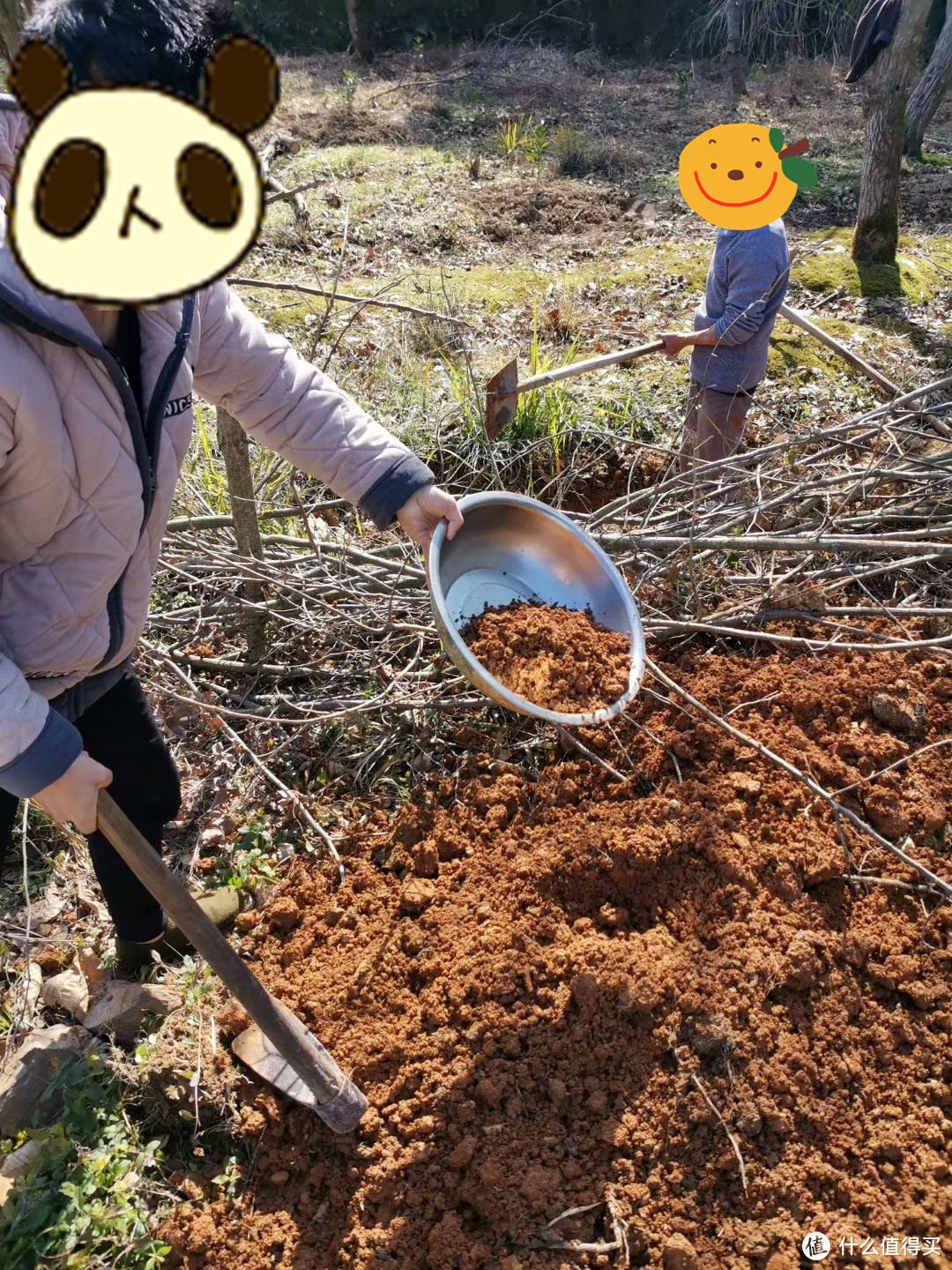 久在樊笼里，复得返自然--心血来潮自制叫花鸡？