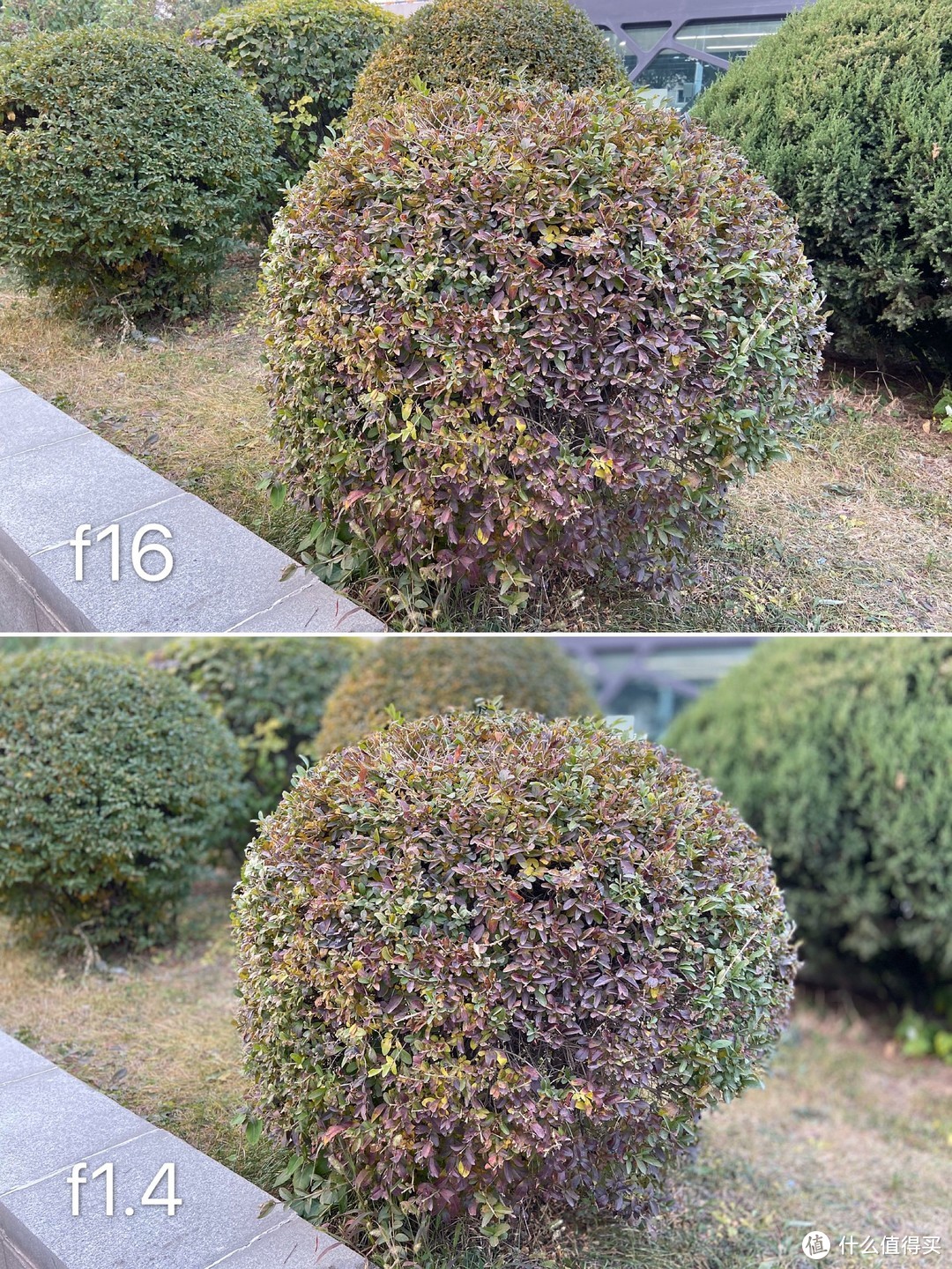 f16 VS f1.4对比样片