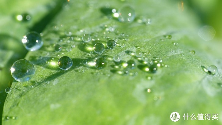 如何换1号滤芯？红嘴鸟400G纯水机600G厨房家用RO直饮水反渗透净