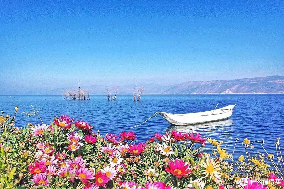 春暖花开之时，一起去这些文艺地