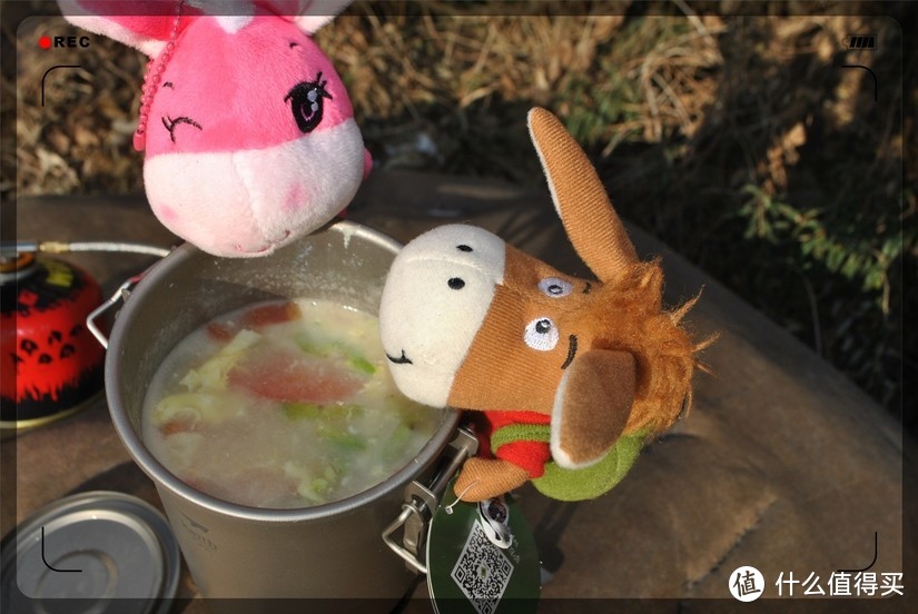 这个“媒人”很特别——铠斯 钛多功能煮饭器帮助小驴收获爱情