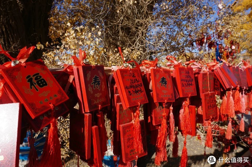 胡杨林下的慢时光，不止吃喝玩乐！一个重庆妹子的非典型西北穿越指南