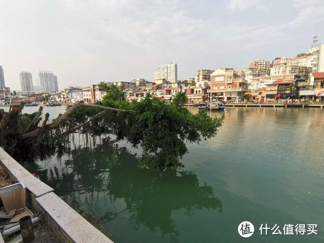 水塘北边的商店道路很干净，南边路边有些垃圾