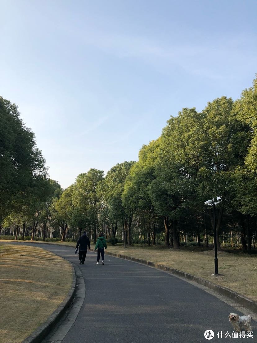 上海连续3天没有新增病人-疫情基本消失去公园兜一圈，看看外面人多不多?