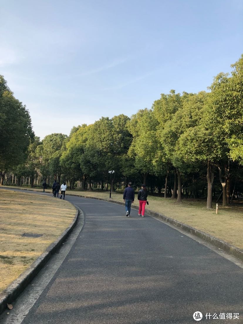 上海连续3天没有新增病人-疫情基本消失去公园兜一圈，看看外面人多不多?