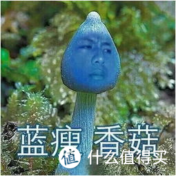 十部减压神剧与十二种减压技巧，复工压力大还请收好！