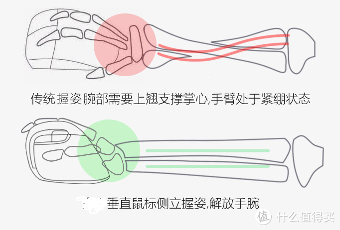 开始搬砖了，聊聊我用过的和期望中的人体工程学键盘鼠标吧