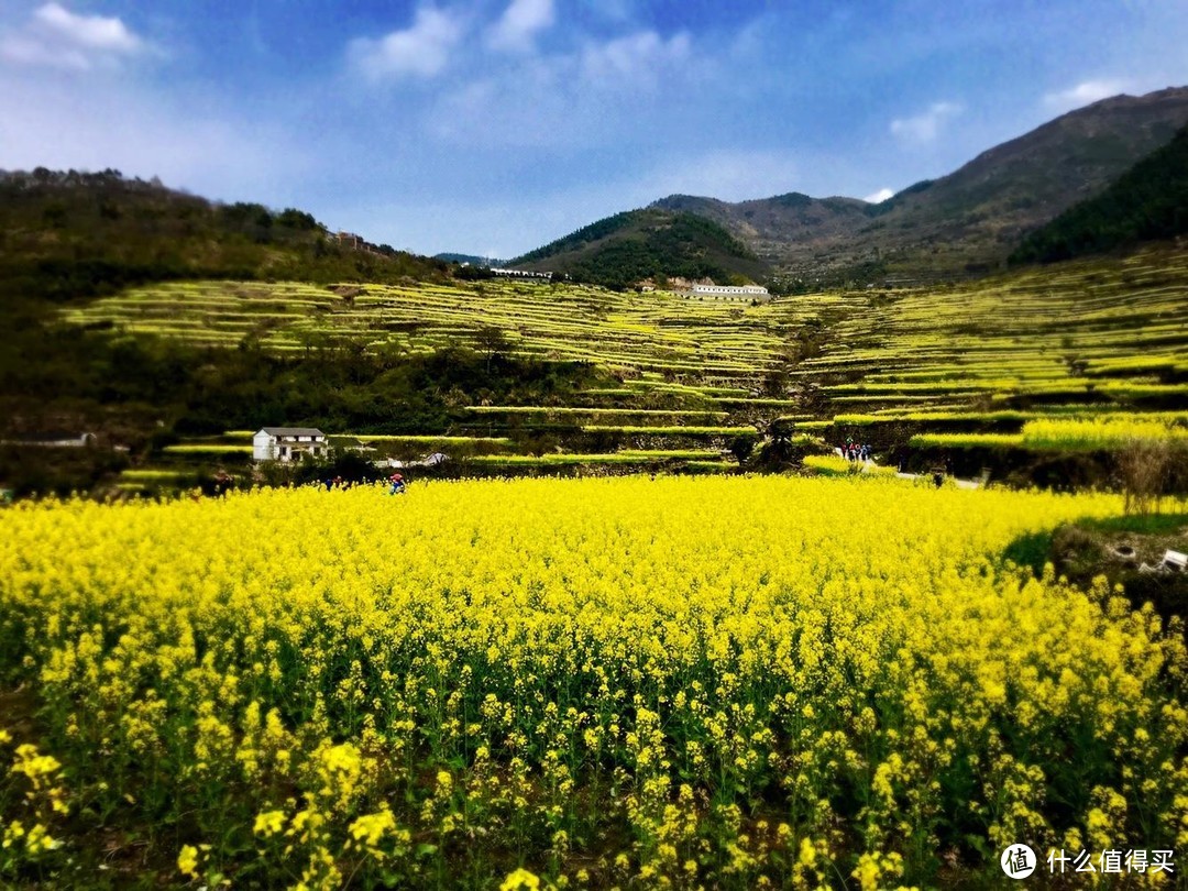 疫情过后如何能够好好的欣赏油菜花之装备篇