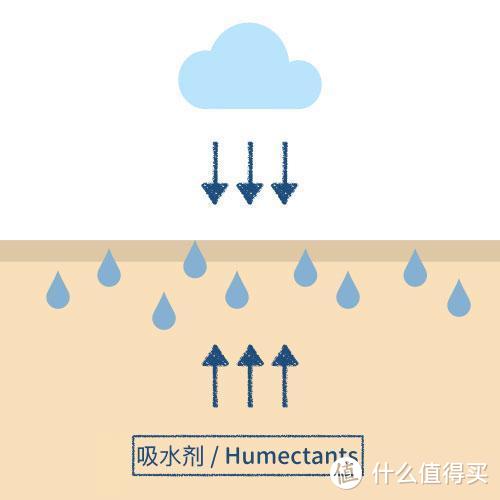 科学分析，水乳面霜贵的就一定比便宜的好吗