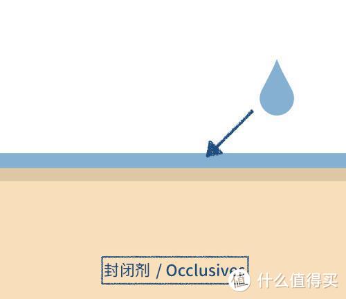 科学分析，水乳面霜贵的就一定比便宜的好吗