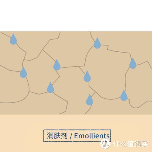 科学分析，水乳面霜贵的就一定比便宜的好吗