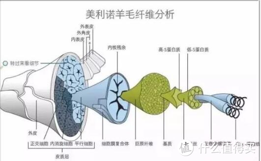 面料这么多，优衣如何酷？看完再剁更精准！