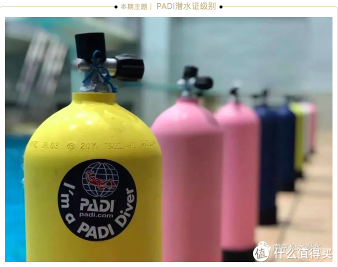 PADI潜水证级别 从小白到专业人士一步步