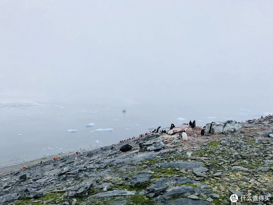 看企鹅的聚居地，是的，南极也不是所有都被冰雪覆盖的