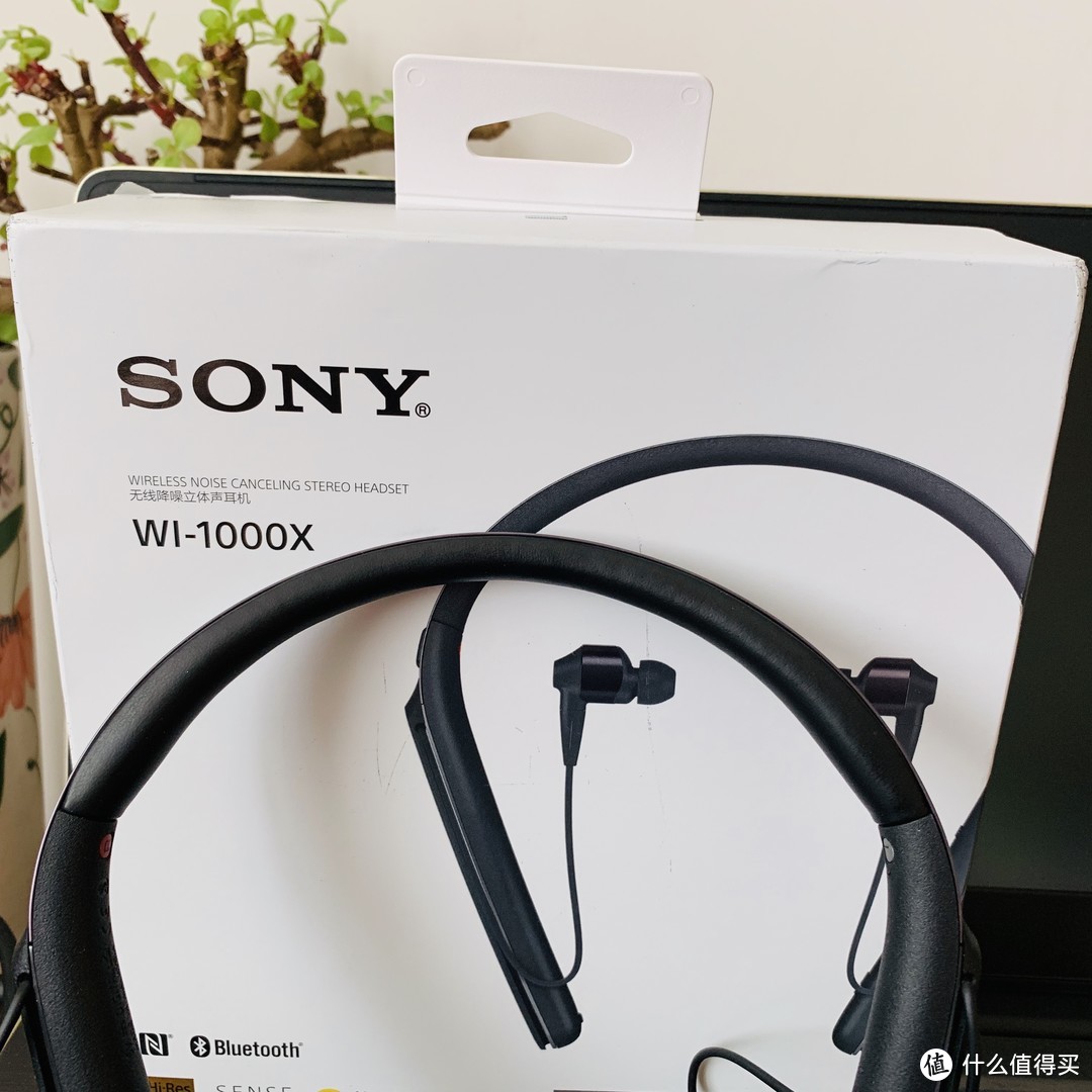   Sony wi-1000x 