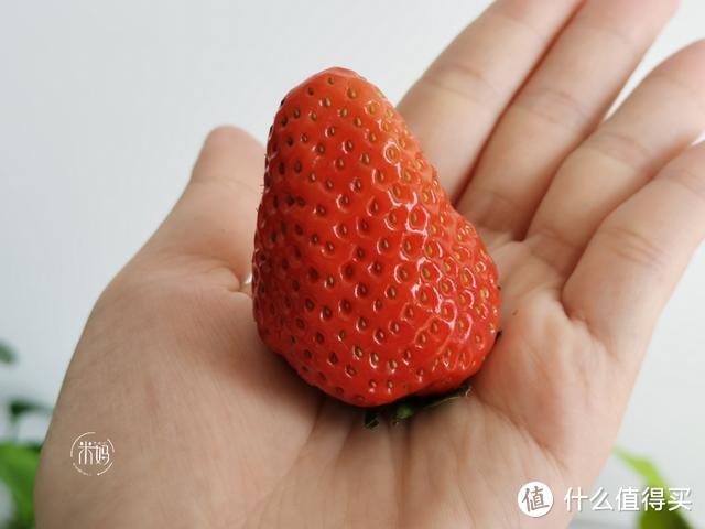 买草莓，该怎么挑选？教你简单有效的3个小诀窍，一挑一个甜！
